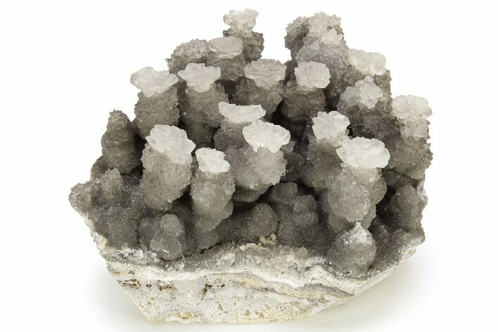 Cave Calcite Flower Stalactites - China #226192